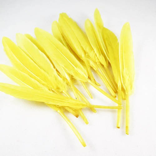 Lot de 5 plumes de couleur jaune de 10cm à 13cm 