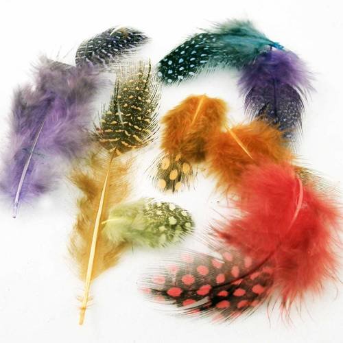Lot de 5 plumes de pintade de couleurs mixtes 