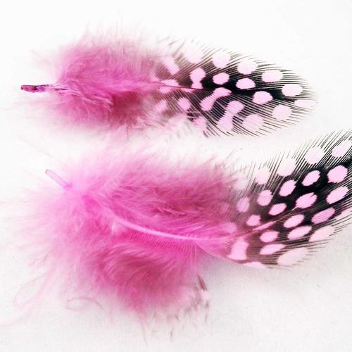 Lot de 2 plumes de pintade de couleur rose 