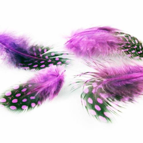 Lot de 4 plumes de pintade de couleur violet de 25mm à 40mm 