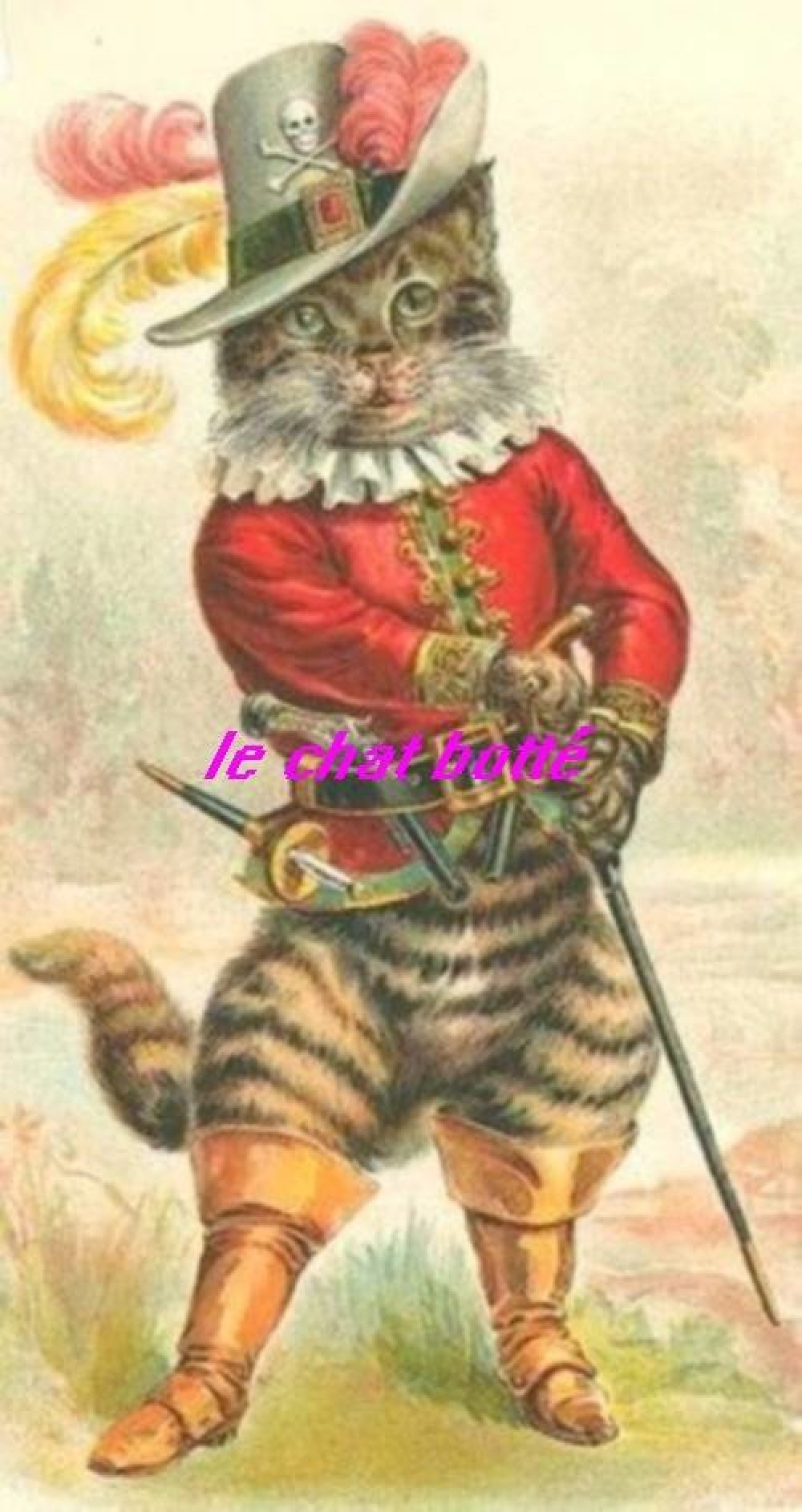 Transfert 17 Cm X 13 Cm Le Chat Botte Sur Tissu 28 Cm X 21 Cm Un Grand Marche