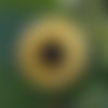 Broche 1-2-3 soleil tournesol b