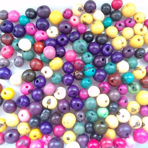 Lot 20 perles naturelles végétales d'açaï du brésil multicolore