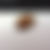 Perle en bois brun, ovale plat 53x23x7mm