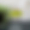 Bo chloris éventail japonais vert tilleul