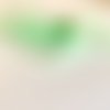 Ruban organza vert clair à pois blancs x2m