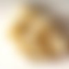 Perles en nacre forme chips percées x 14