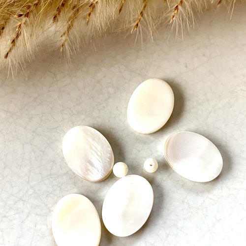 Perles en nacre ovales en blanc percées x5