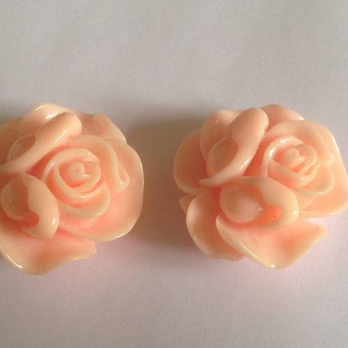 Duo de cabochons roses en saumon 35 mm 