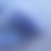 Biais coton pois bleu pâle 2 cm plié x50 cm 