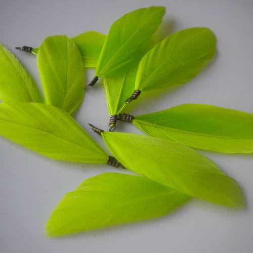 Plume vert anis avec accroche bronze moyen modèle