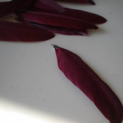 Plume rouge sombre accroche métal argenté moyen modèle 4-5cm
