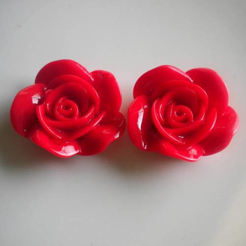 Duo de cabochons roses en rouge 35 mm