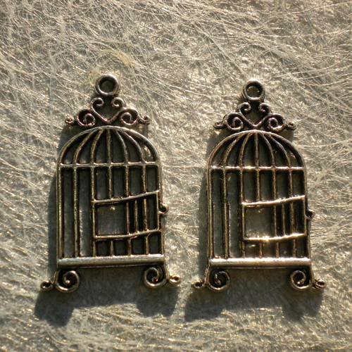 Duo de breloques cage en métal argenté vieilli
