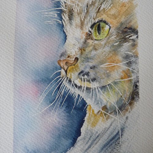 Aquarelle Chat Un Grand Marche