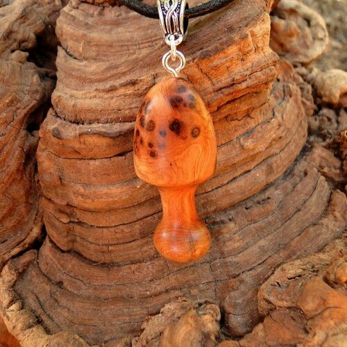 Pendentif champignon bois rare