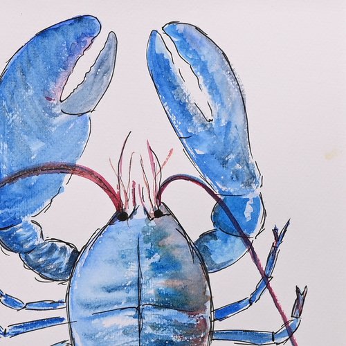 Beau homard bleu et antennes rouges