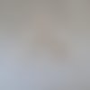 Miyuki delica 11/0 db0433 galvanized champagne