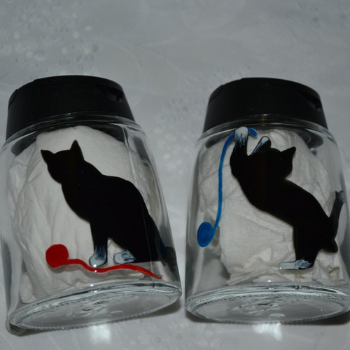 Salière et poivrière en verre peintes "chats noir et blanc"