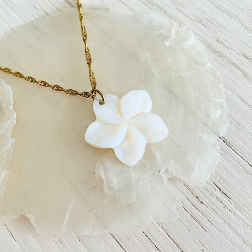 Collier monoï (acier inoxydable et nacre)
