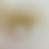 Boucles d’oreilles maeva - blanc (acier inoxydable et perles coquillage)