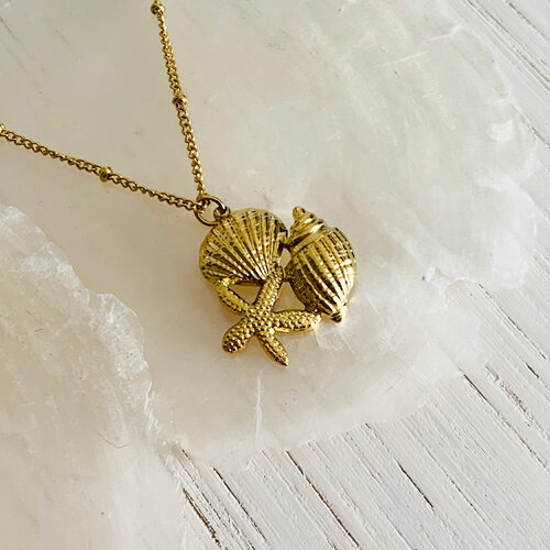 Collier purea - 3 coquillages