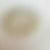 Bracelet gaïa (perles nacre, perle nacre tortue et acier inoxydable)