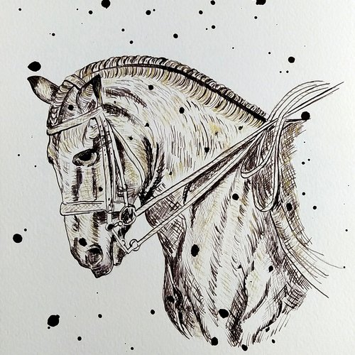 Dessin à l'encre de chine "cheval" sur papier grain fin, dessin original cheval 27,9 cm × 21 cm, encadré