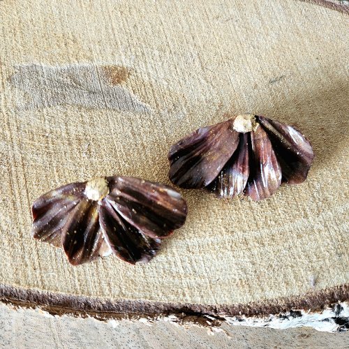 Boucles d'oreilles "fleurs"