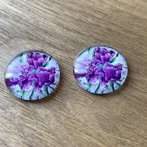 Cabochons 20 mm x2