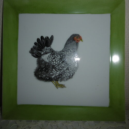 Assiette carrée en porcelaine peinte main : la poule noire avec un tour vert