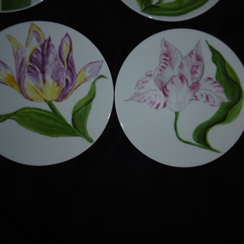 8 assiettes à pain en porcelaine peinte main : motif de 8 tulipes différentes