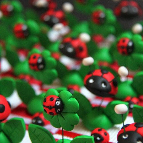 Boîtes à dragées trèfles et coccinelles thème printemps
