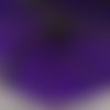 Broche "fleur plumes violettes"