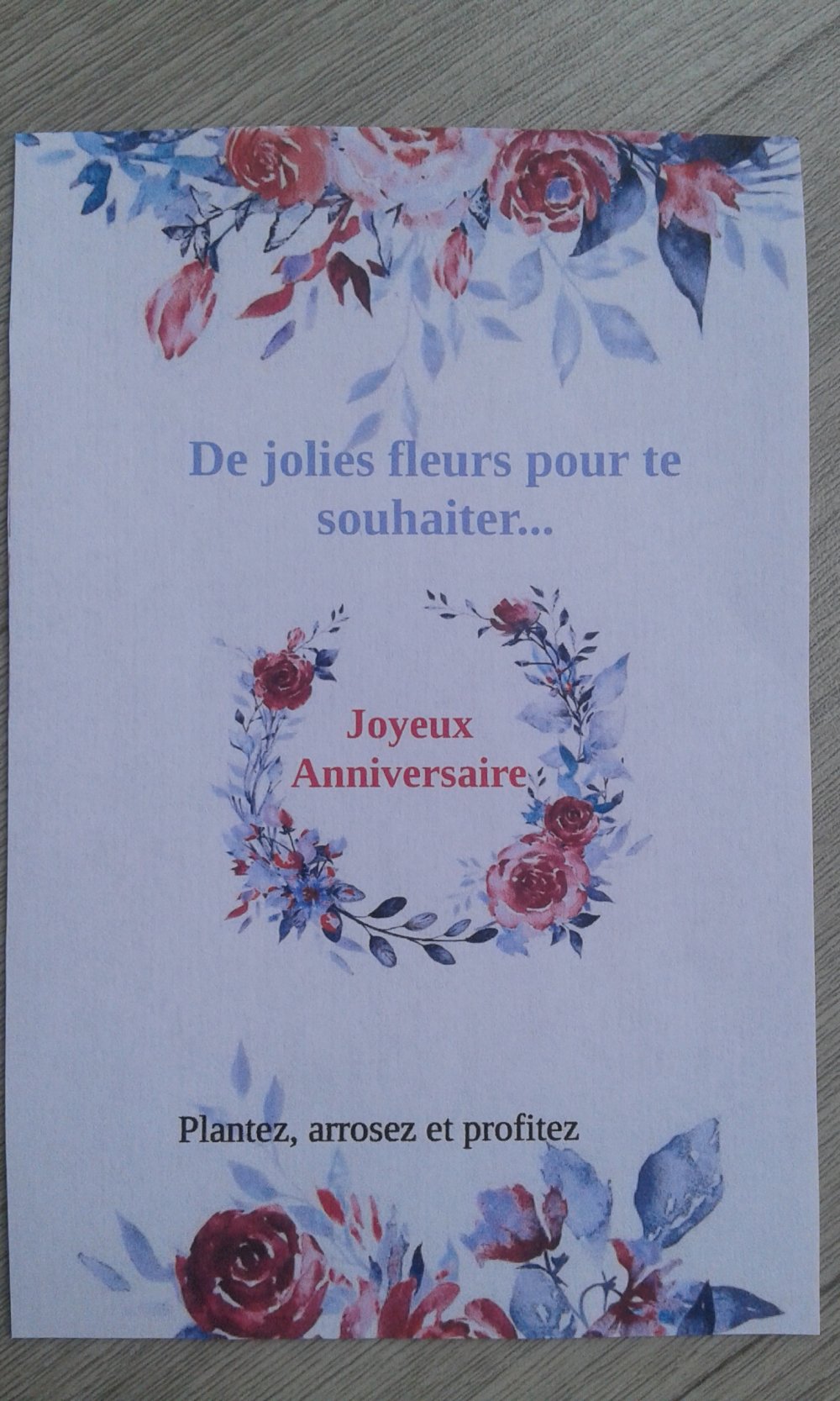 Carte A Planter Joyeux Anniversaire 2 Modeles Un Grand Marche