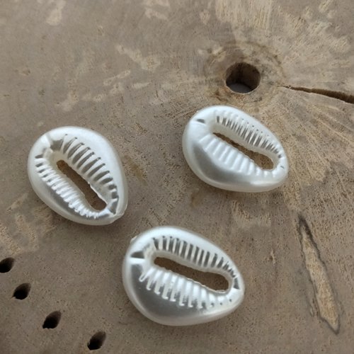 Lot de 7 perles coquillages en nacre naturel style cauris