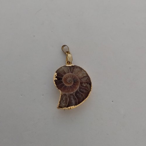 Pendentif ammonite fosssile monté sur couche de plaqué or 14k