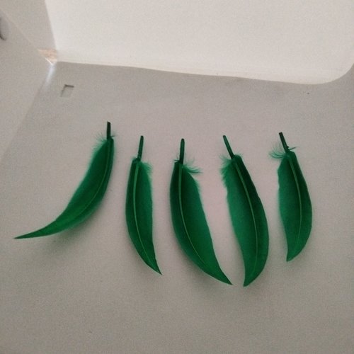 Lot de 4 grandes plumes vertes synthétique