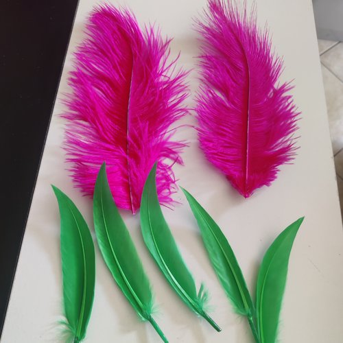 Lot de plumes synthétique vertes et fuchsia