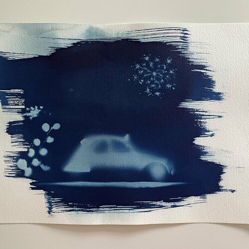 Dessin - cyanotype sur papier 2cv et végétal - monochrome