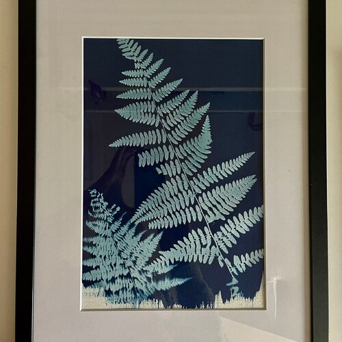 Cadre avec impression cyanotype végétal fougères- monochrome