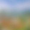 Tableau champ de lin et coquelicots   paysage de normandie