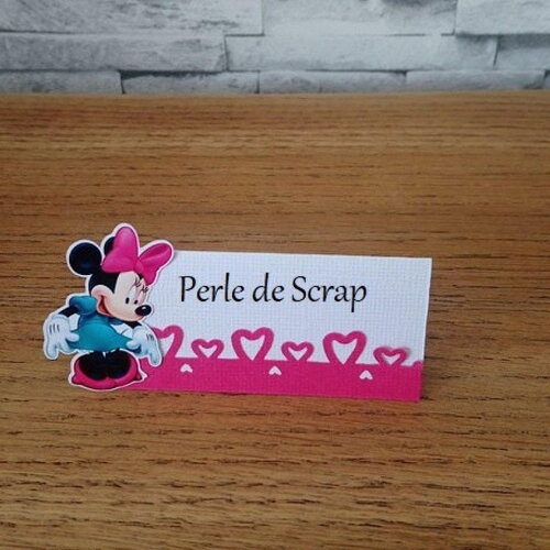 Lot de 10  marque place minnie
