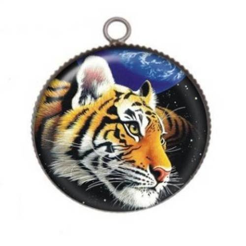 1 pendentif cabochon rond en résine 25mm tigre 033
