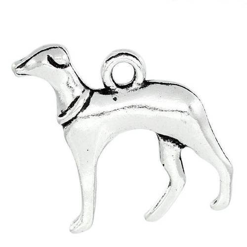 Lot de 5 breloques chien levrier en métal argenté 