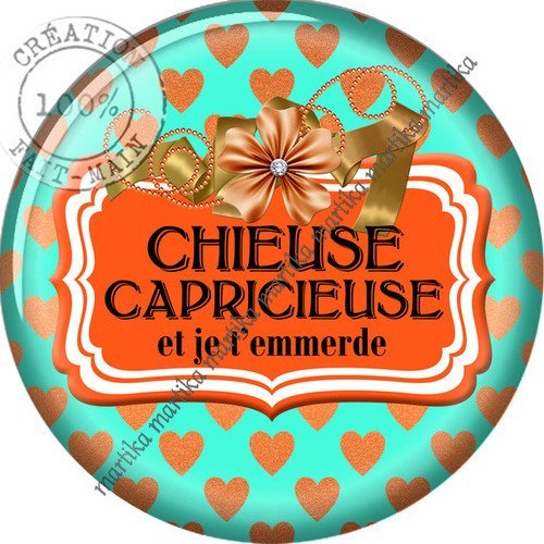 Cabochon résine 25 mm chieuse capricieuse n°72 