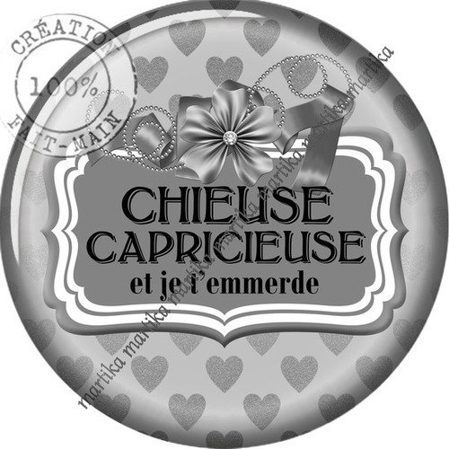 Cabochon résine 25 mm chieuse capricieuse n°71 