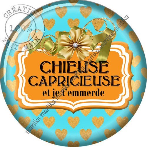 Cabochon résine 25 mm chieuse capricieuse n°70 