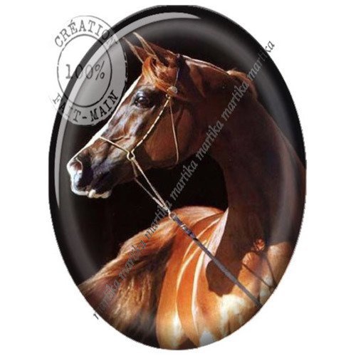 Cabochon ovale résine 25 x 18 mm cheval n°153 