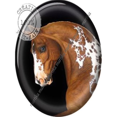 Cabochon ovale résine 25 x 18 mm cheval n°151 